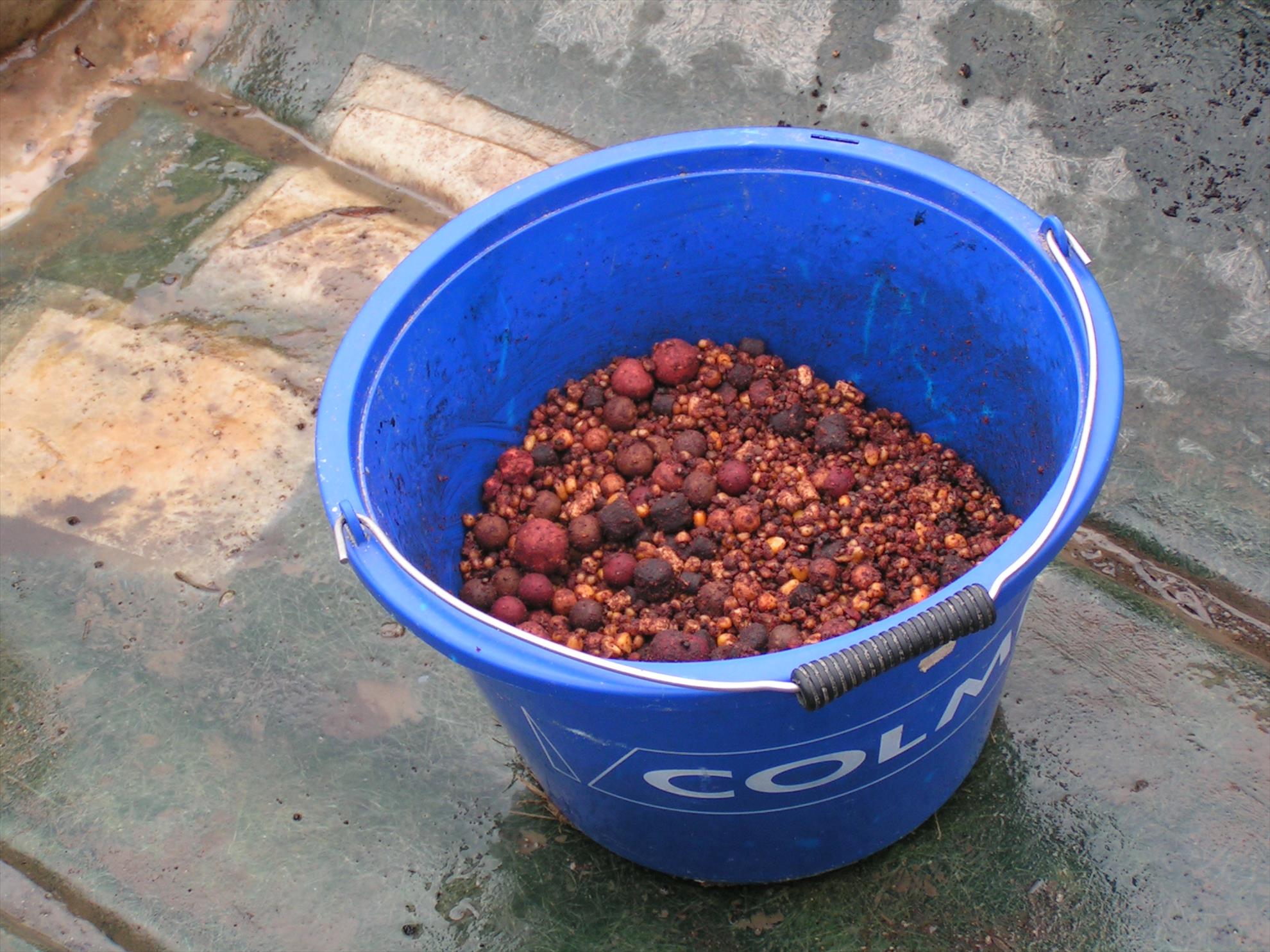 Adunate... - pict0023.JPG